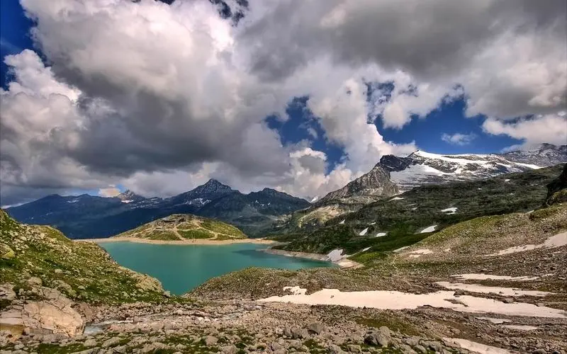 智能化全自动